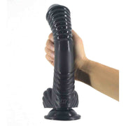 Plug anale nero curvo rigato CHICCO tenuto in mano
