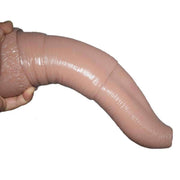 24.8cm Elephant Dildo Anal Plug
