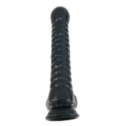 28.5cm Realistic Dildo