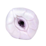 Arashiro Male Masturbator
