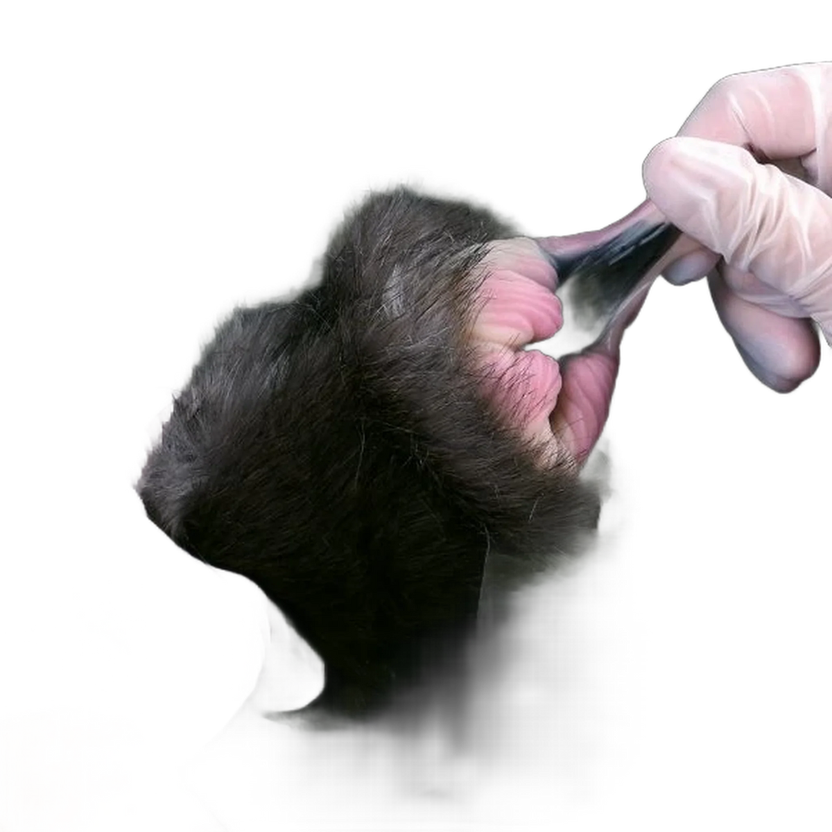 Artificial Animal Cat Pussy Design Silicone Masturbators Ass Doll For Men