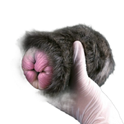 Artificial Animal Cat Pussy Design Silicone Masturbators Ass Doll For Men