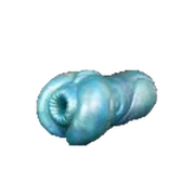 Beaver Dog Male Masturbator