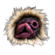 Bristle dog Furry Pussy Sex Toy Male Masturbators With Dual Channel