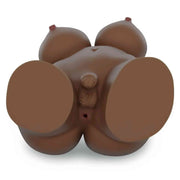 Busto Trans Marrone Con Seno Prosperoso