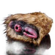 Camel Plush Masturbator, hand-made Fantasy Vaginal Doll For Men