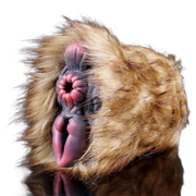 Camel Plush Masturbator, hand-made Fantasy Vaginal Doll For Men