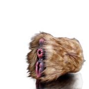 Camel Plush Masturbator, hand-made Fantasy Vaginal Doll For Men