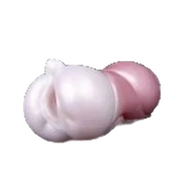 Chestnut Dog Male Masturbator