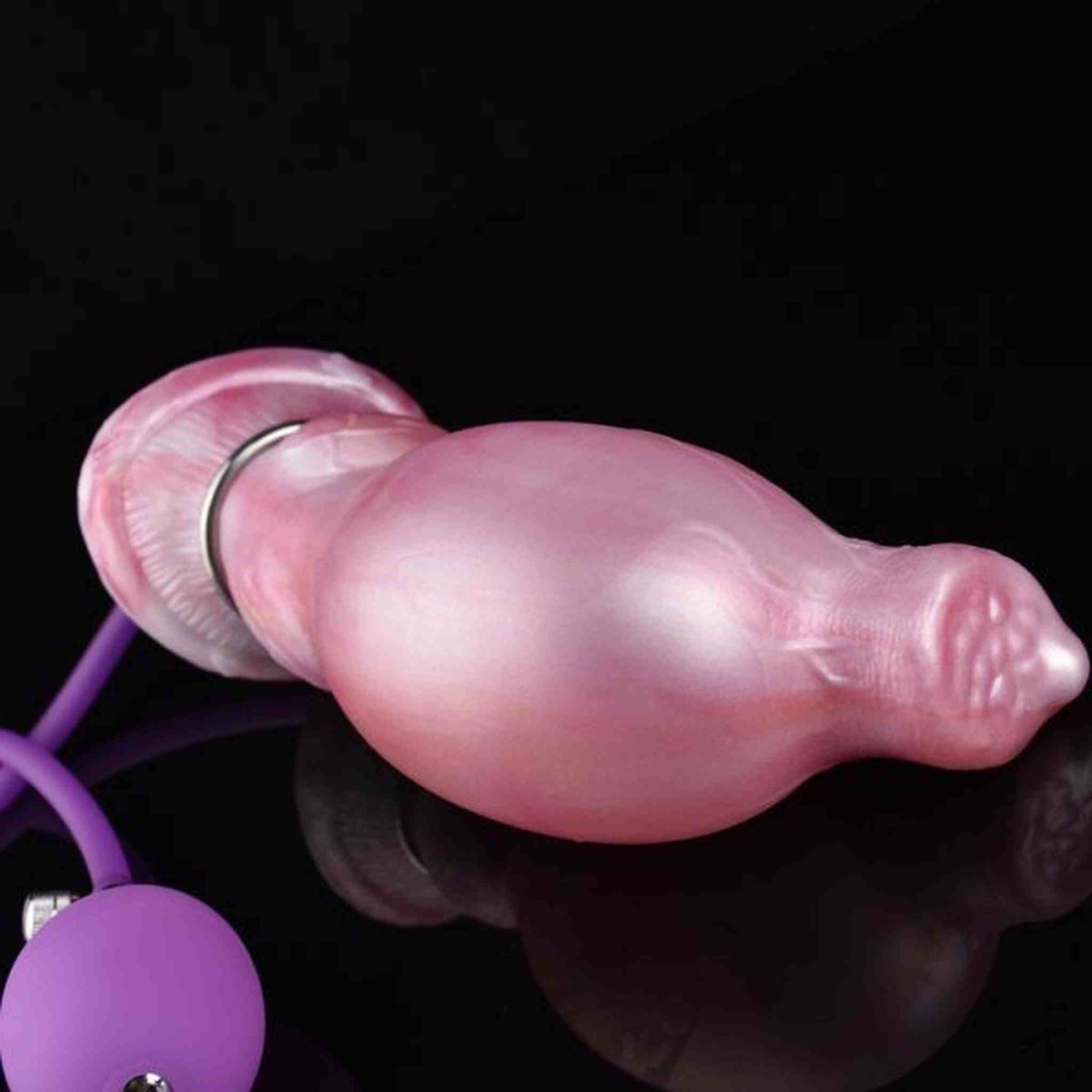 Chihuahua Anal Plug