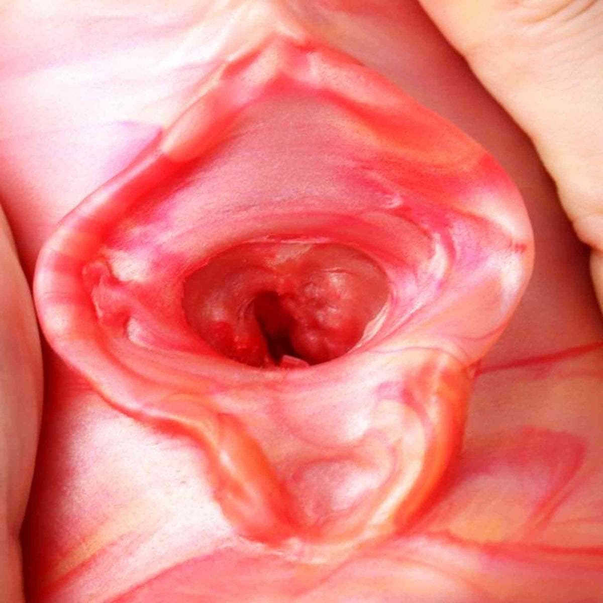 Color CupIII Male Masturbator