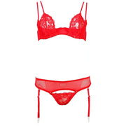 Set lingerie rosso balconcino pizzo con mutandina apertura centrale e calze a rete