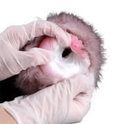 Dog Shape Pussy Toy Fantasy Furry Masturbator