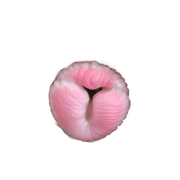 Dog Shape Pussy Toy Fantasy Furry Masturbator