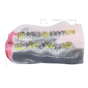 Dimensioni interne ed esterne Dolfin masturbatore silicone texture ondulata