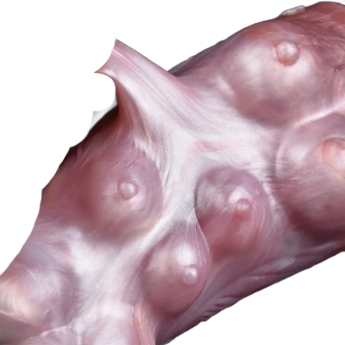 Dettaglio superficie silicone liquido rosa pallido con protuberanze sferiche simili a capezzoli