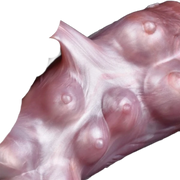 Dettaglio superficie silicone liquido rosa pallido con protuberanze sferiche simili a capezzoli