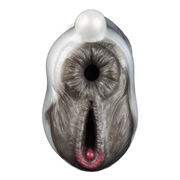 Dual channel masturbation cup
