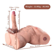 Dimensioni e peso torso interattivo GoReal 46 cm altezza con base piatta