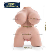 Torso donna Frieda misure complete altezza larghezza bacino e peso 4kg