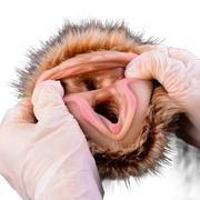 Furry Pussy Vaginal toy, Animal Design Male Masturbators