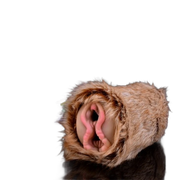 Furry Pussy Vaginal toy, Animal Design Male Masturbators