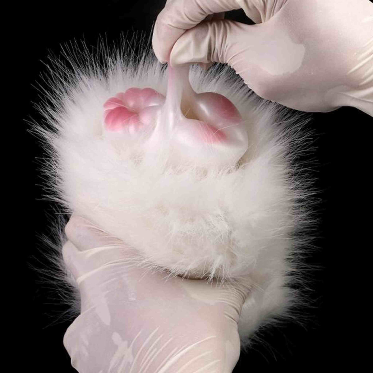 Hamsters Fantasy Animal Masturbator With Vaginal and Anal Ass