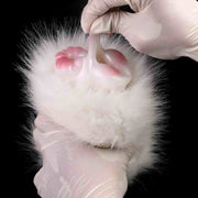 Hamsters Fantasy Animal Masturbator With Vaginal and Anal Ass