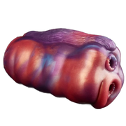 Ketty Male Masturbator