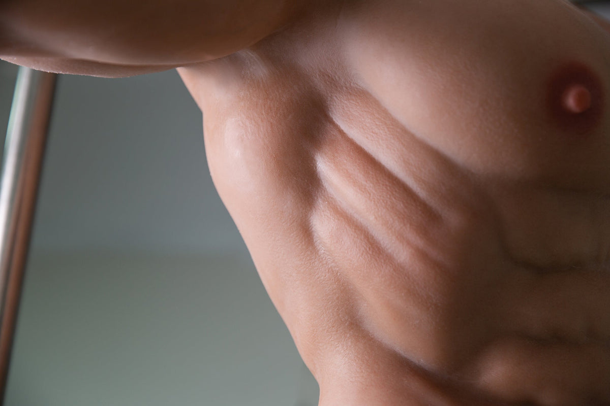 Doll realistico torace laterale pettorali diaframma forma muscolare
