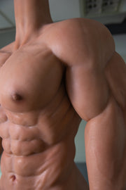 Dettaglio torace e sei blocchi Real Doll Super Realistico con pelle sintetica lucida