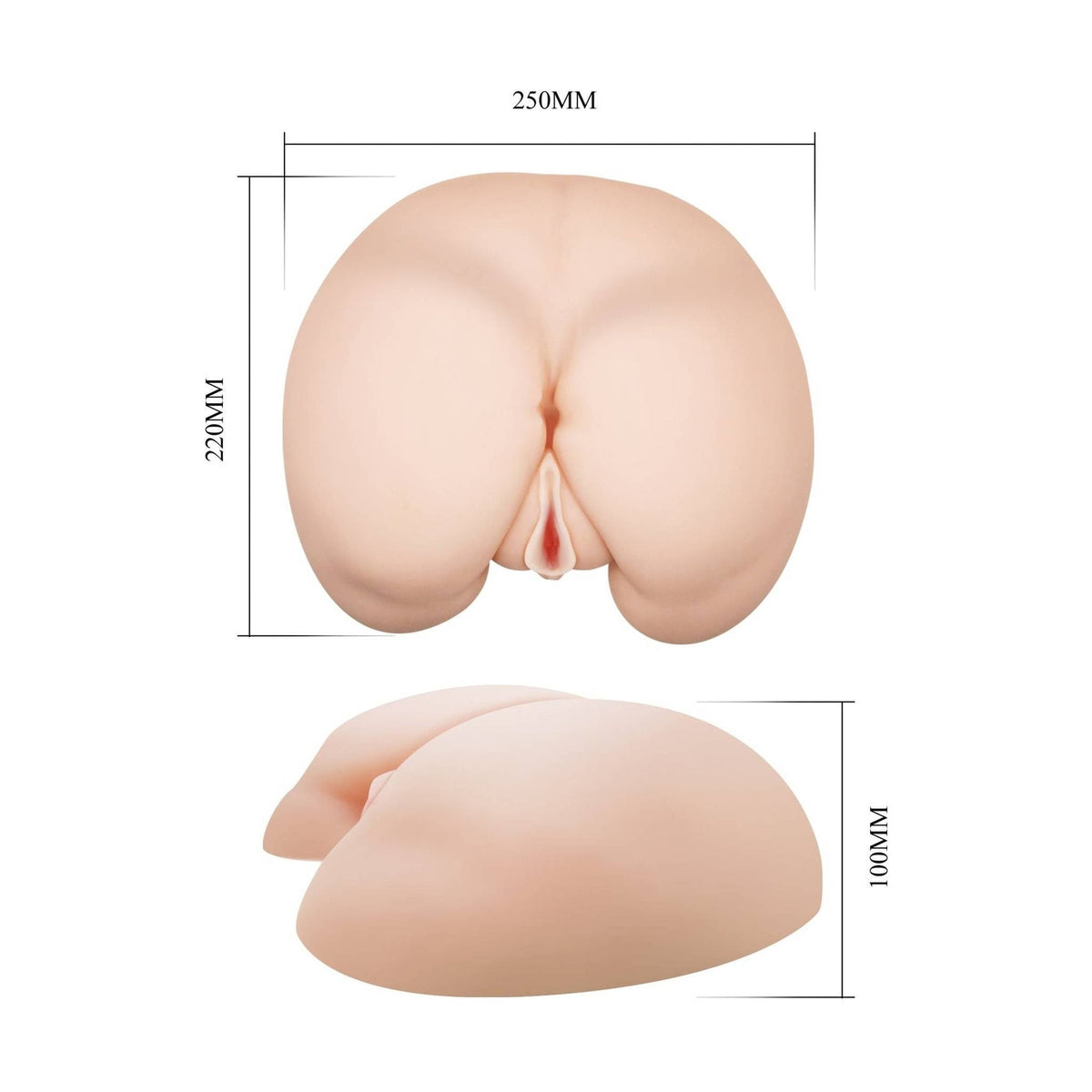 Dimensioni tecniche masturbatore realistico silicone 250x220 mm