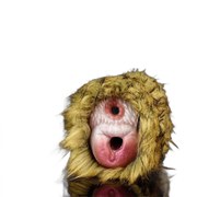 Orangutan Sex Toy Hand Made Masturbators For Men