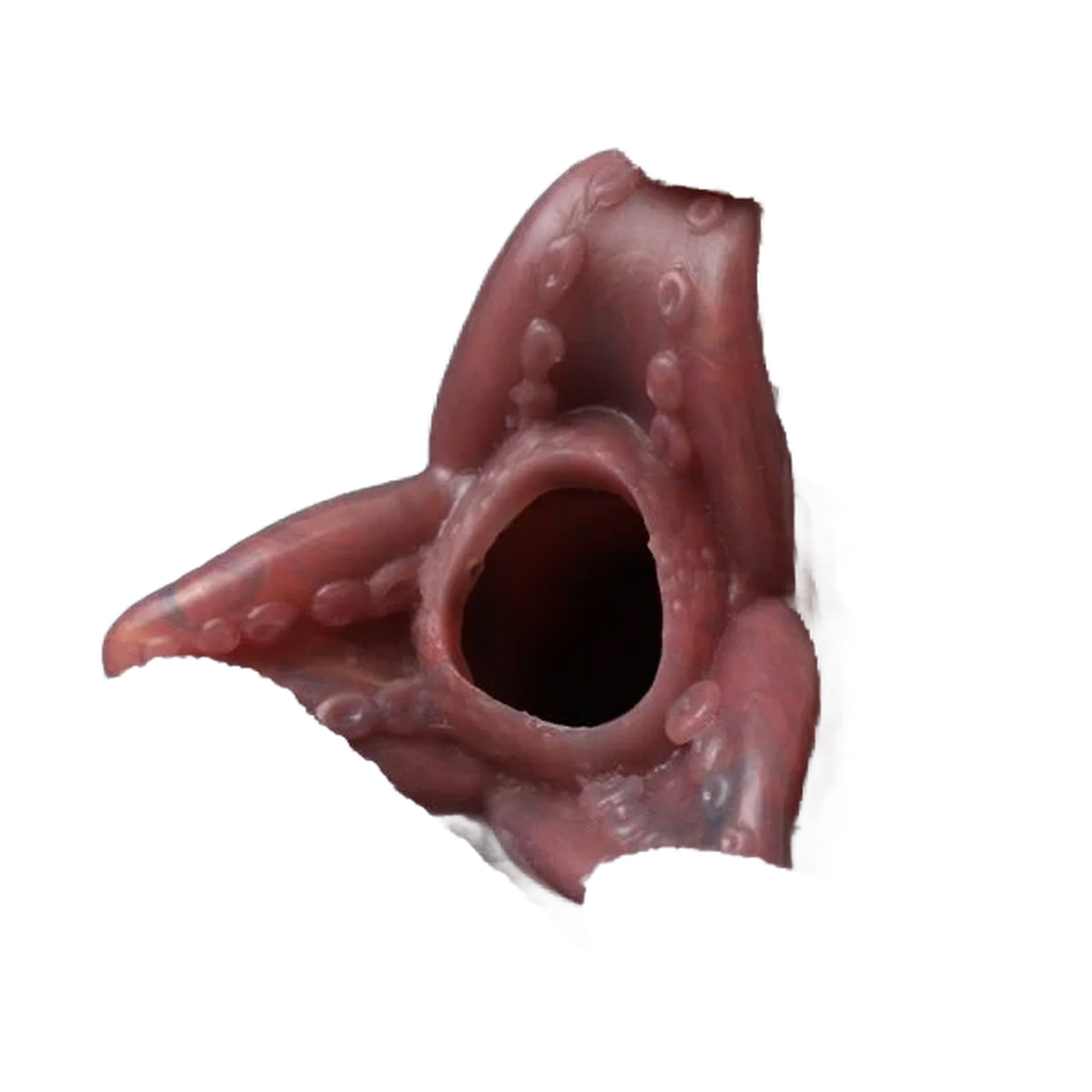 Dettaglio bocca Pandora Ovipositor con texture biologica e apertura centrale
