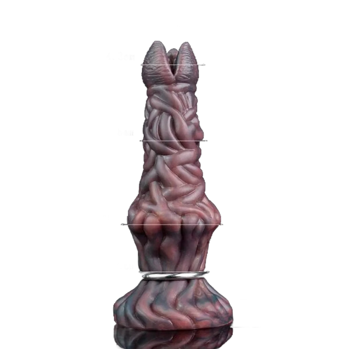 Vista frontale Pandora Ovipositor verticale con quattro anelli metallici