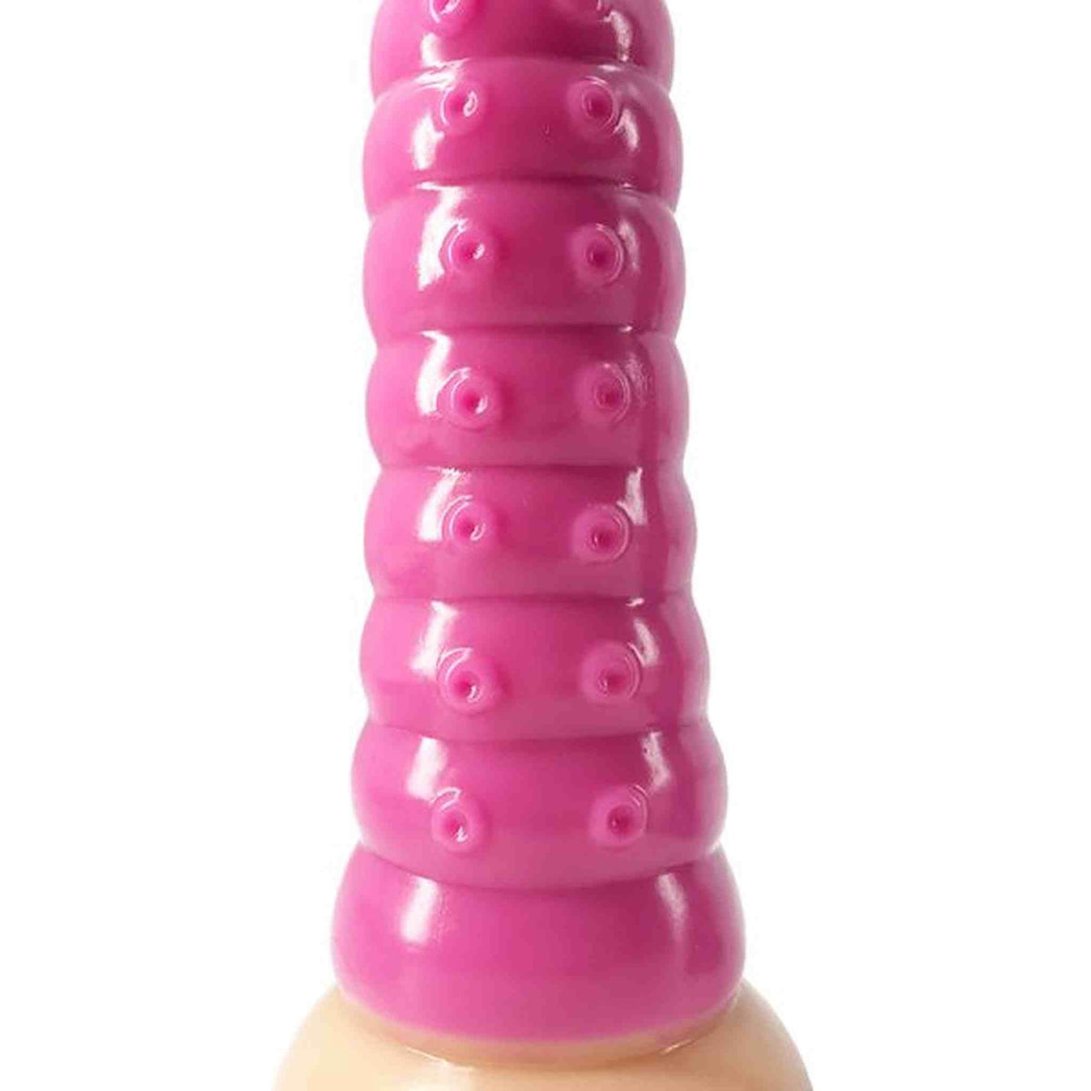 Realistic Worn Shape Penis with Anal Plug