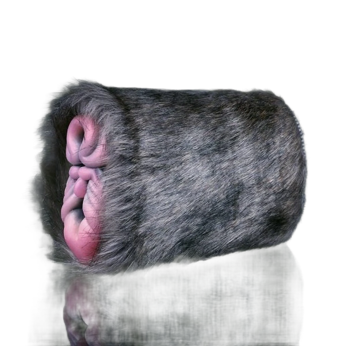 Rhinoceros Pussy Sex Toy Male Masturbator With Double Channel