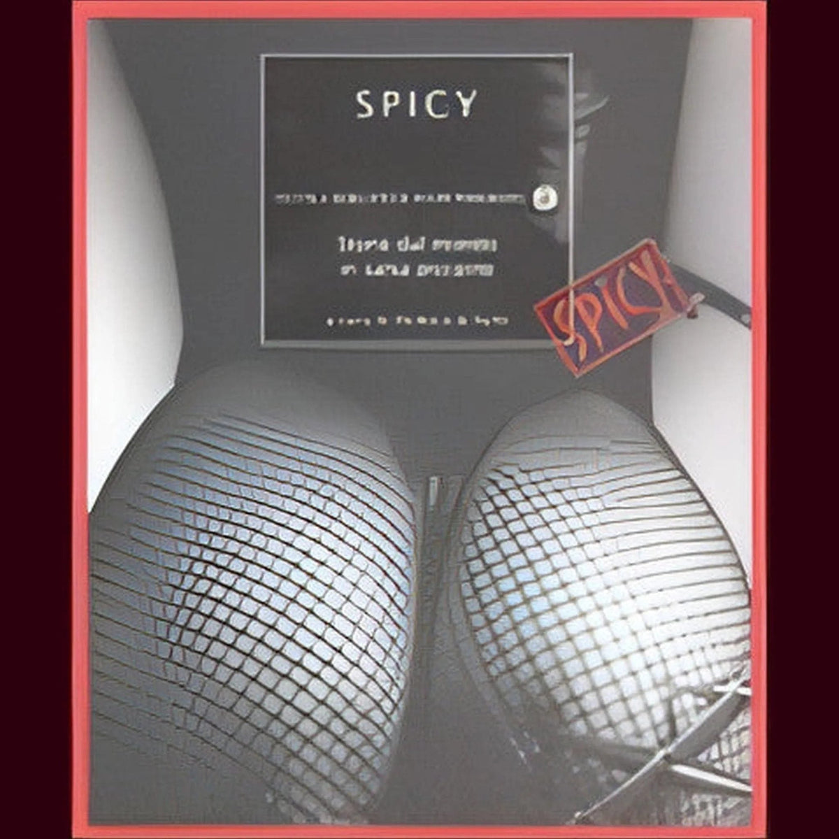 Copertina libro SPICY Storie dal mondo in salsa piccante con bordo rosso e foto gambe calze a rete