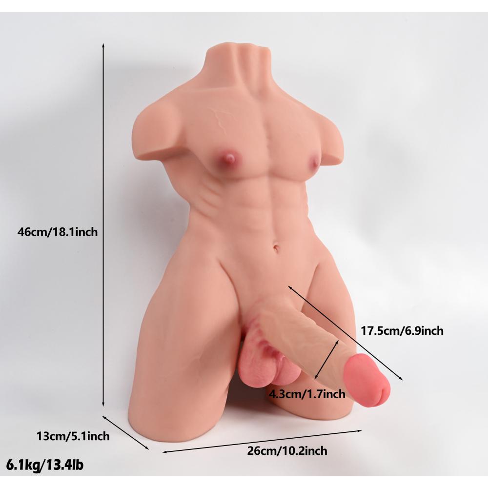 Spettacolare Torso Maschile 6.1 Kg Con Pene Bendable da 17.5 cm