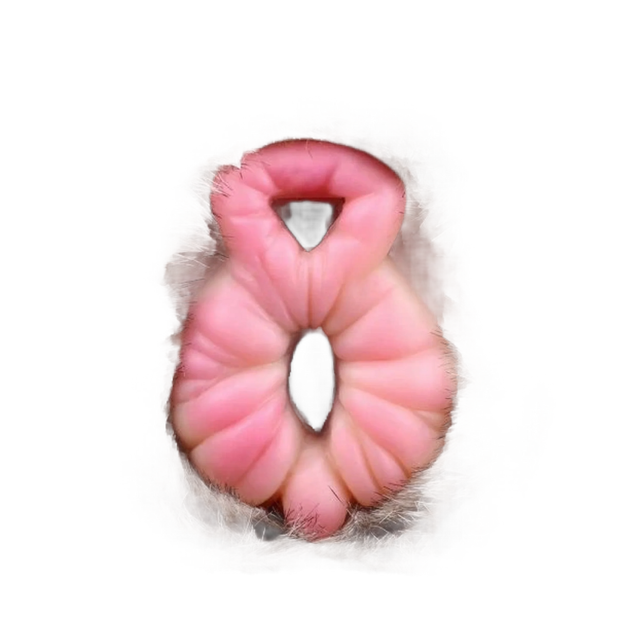 Spirit Lion Animal Pussy Toy Male Masturbator With Dual Channel