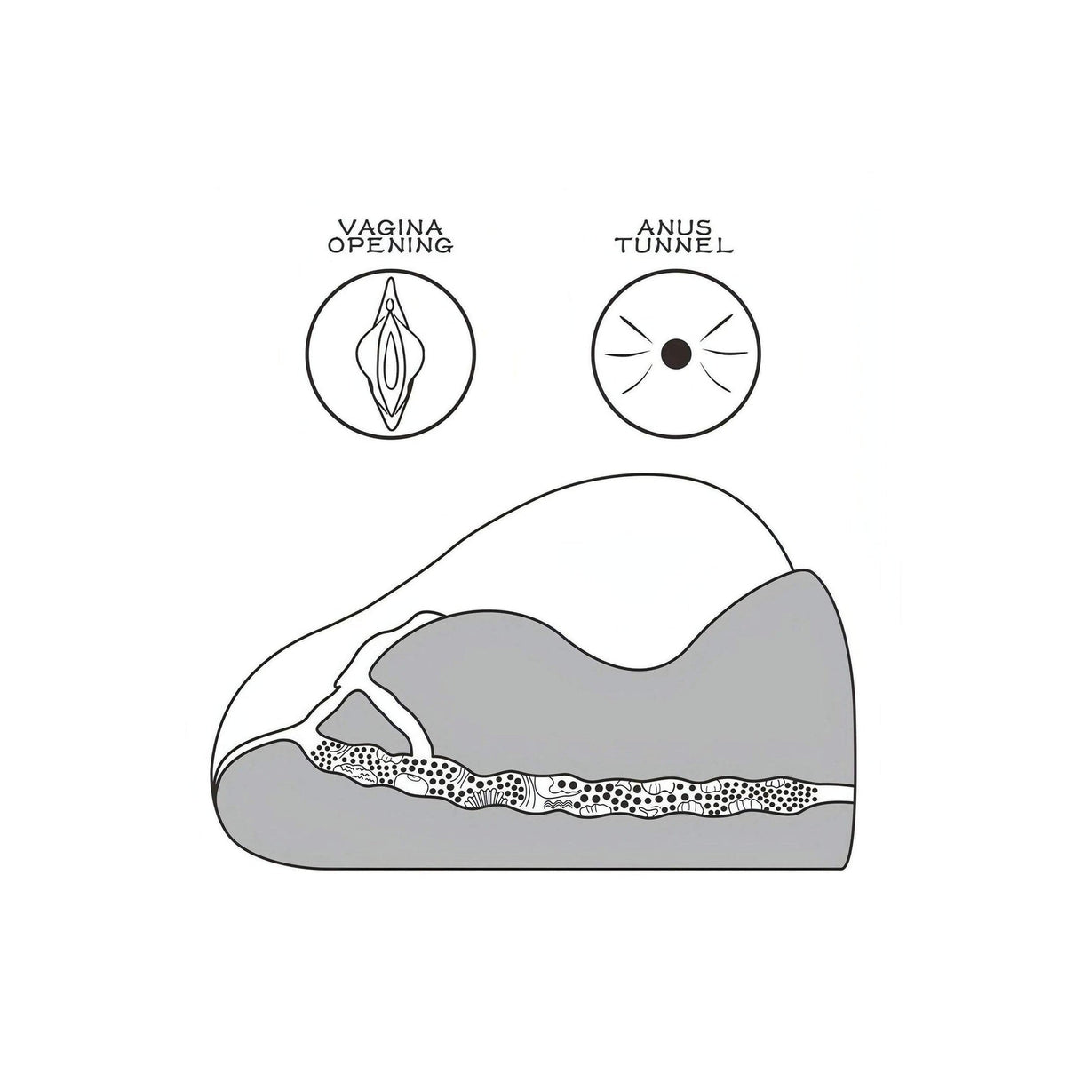 Diagramma tecnico canali vagina e anus masturbatore Streetgirl's No.2