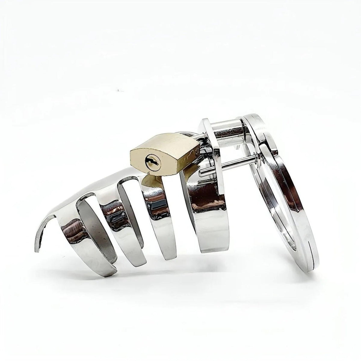 The Classic Stainless Steel Cock Cage