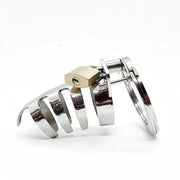 The Classic Stainless Steel Cock Cage