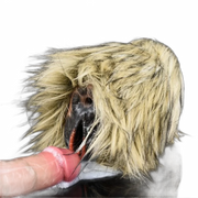Tibetan yak Masturbator Silicone Vaginal Pussy Toy For Men Masturbating