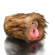 Tiger Fantasy Animal Pussy Toy For Men masturbating, Furry Masturbator