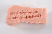 Torso Donna Realistico da 6 Kg