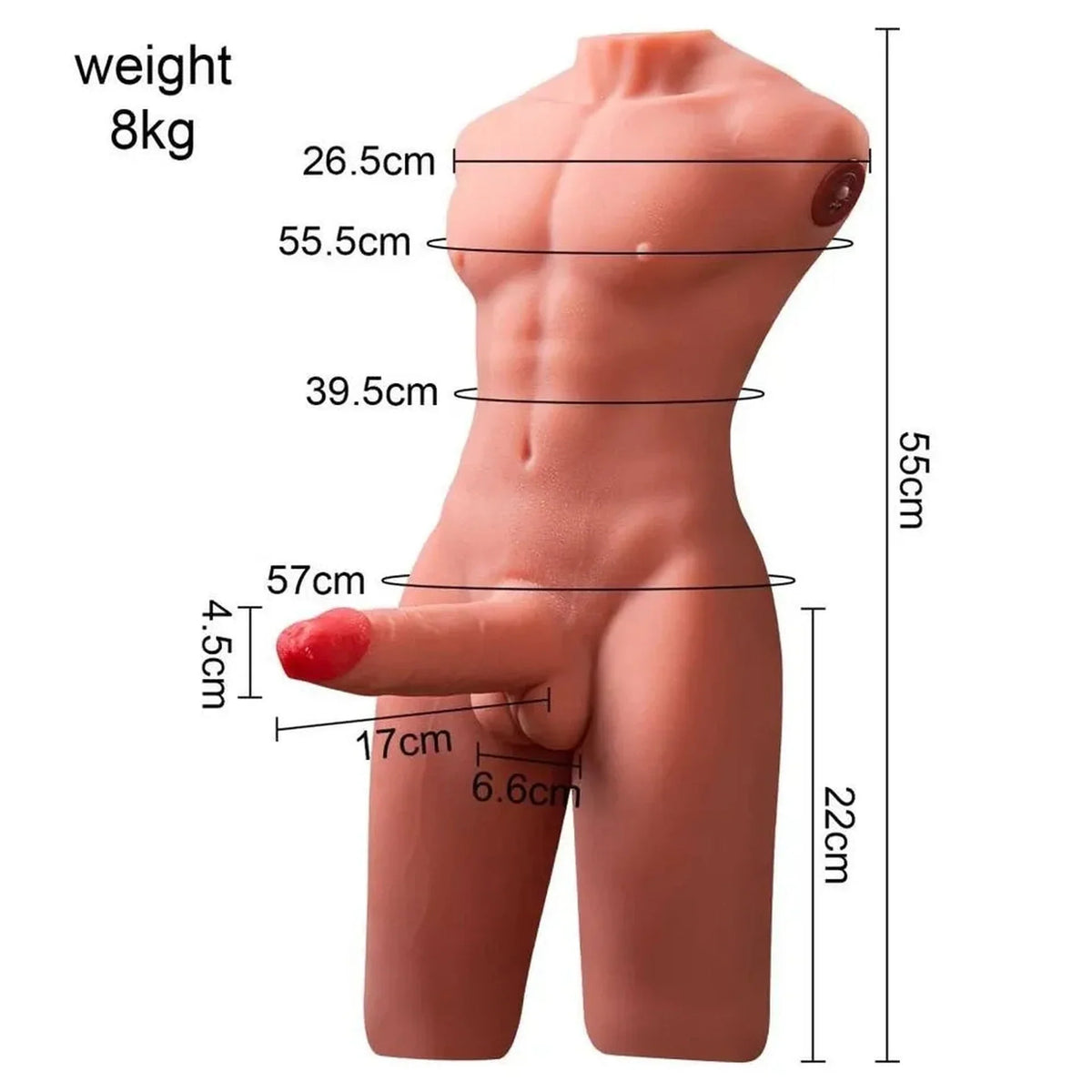 Misurazioni tecniche in centimetri per torso uomo artificiale da 8 kg con dettagli anatomici