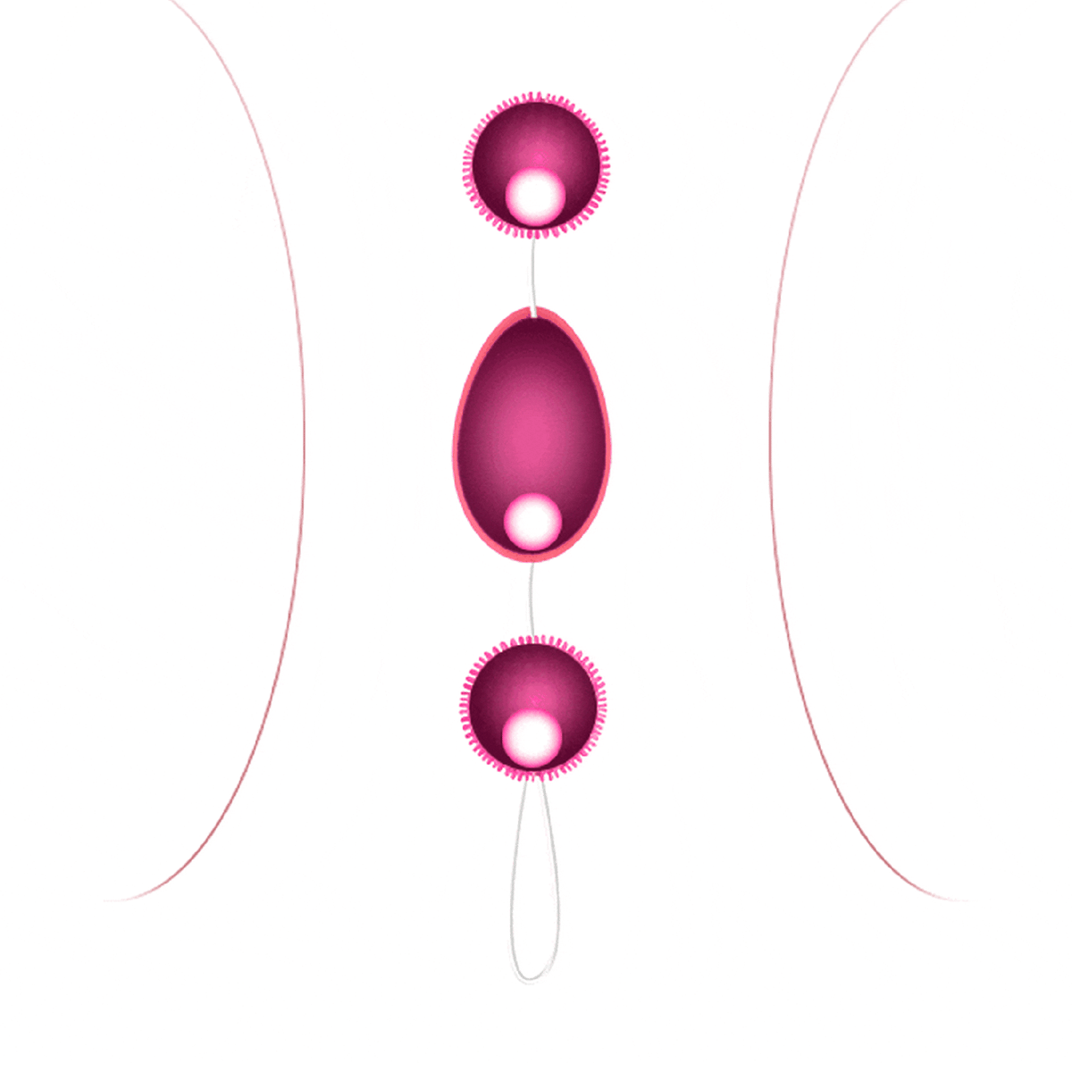 Grafica stilizzata palline Kegel rosa con dettagli interni e contesto anatomico