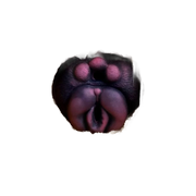 Velvet cat Silicone Vaginal Pussy Toy Furry Masturbator For Men