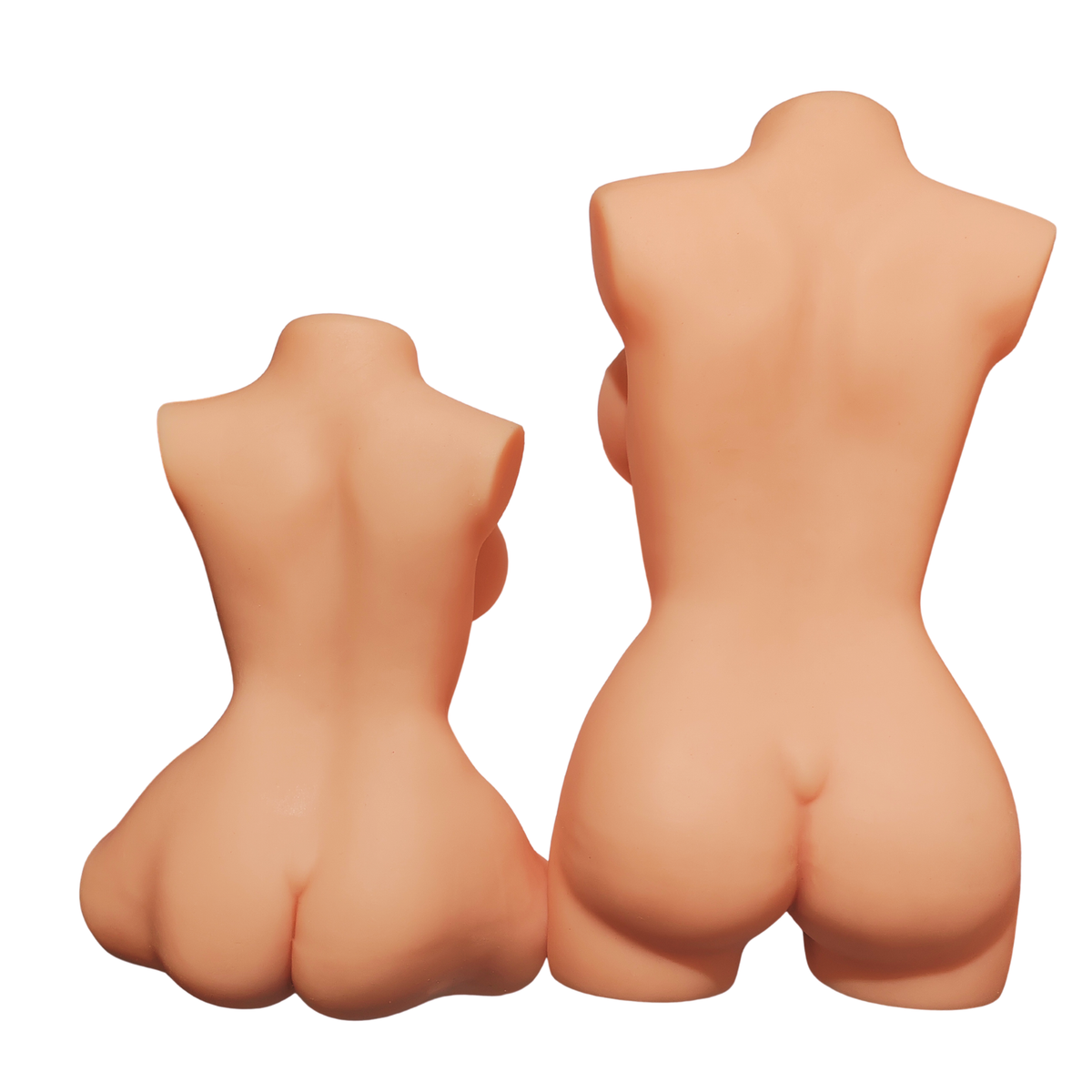 Due torsori femminili vista posteriore, confronto forme glutei e schiena in diverse taglie